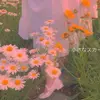三菇娘