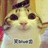 莎糖