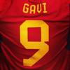 GAVI_9
