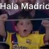 218limenbo