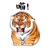 killer_ho