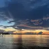 小玛莎和小马丁