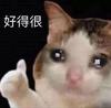 日抛公主