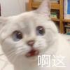 世纪末的颓废