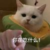 许幸