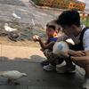 黄哼哼哼