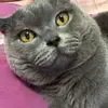 曉暝