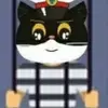 张江勇529