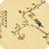 新球王-梅西