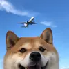 韭菜冰激凌