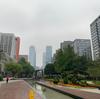 zongxilei