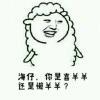 富容望远