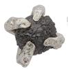 看球几十百年了