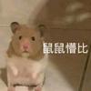 名字难的不会取