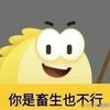 懂你更懂球
