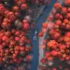 杨紫涵爸爸