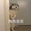 火星慕尼黑安联球场小蒋2