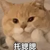 gjiaa