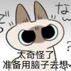 佛山布拉莫巷体育场小吕
