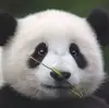 游戏人生Edward