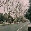 斯斯and斯斯