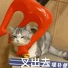 蓝色夏梦