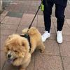罗纳尔梅尼奥