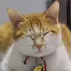 答的是滴