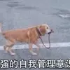 惠州圣西罗球场小叶8