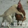 阿萨塔的冬天
