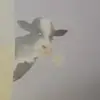 无意的