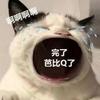 體壇聯播｜劉洋體操世界杯吊環奪冠，梅西入選阿根廷隊名單