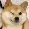 zhanghb17