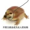 吐了个吐司