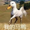 一张改名卡改的名