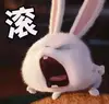 生如夏花z