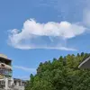 七猫-哈姆西罗