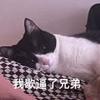 莱斯顿海盗船