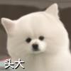 巴萨小土豆