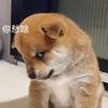 合肥国米