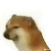冬丘迪