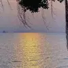 机小智