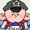 楞次定律库仑力