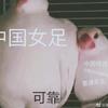 来不及遇见s