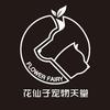 花仙子宠物善终