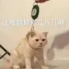 我想长胖