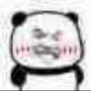 爱踢球的尼科