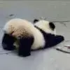啦啦啦啦啦呵呵