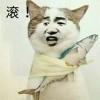 南风子