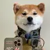 Wan9_